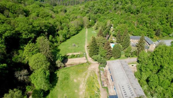 Vente / Domaine