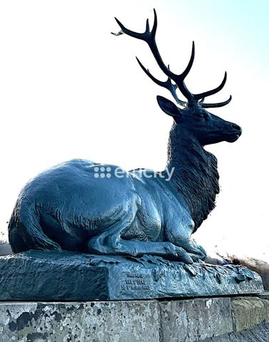 Appartement 1 pièce - 31 m²