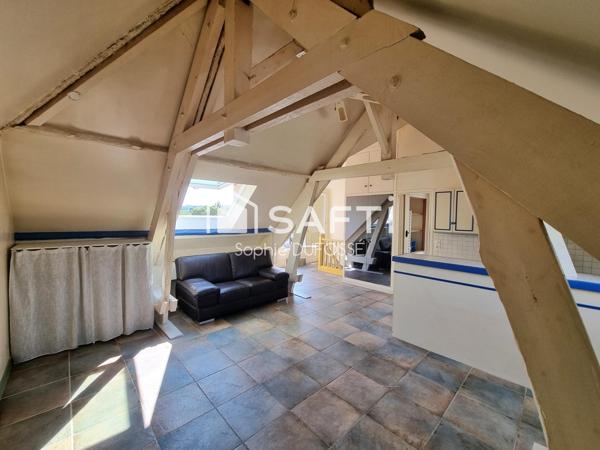 Grand Studio de 31,18 m² loi carrez avec une belle terrasse panoramique de plus de 53 m²