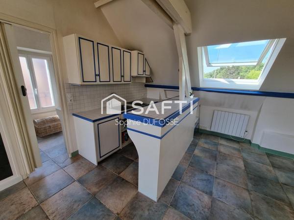 Grand Studio de 31,18 m² loi carrez avec une belle terrasse panoramique de plus de 53 m²