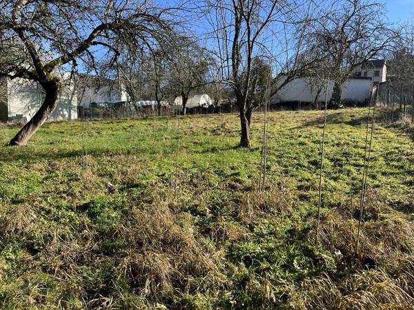 Maison 1 pièce 200m² à vendre Ferrières-sur-Sichon 03250 79000€ - Micro.immo