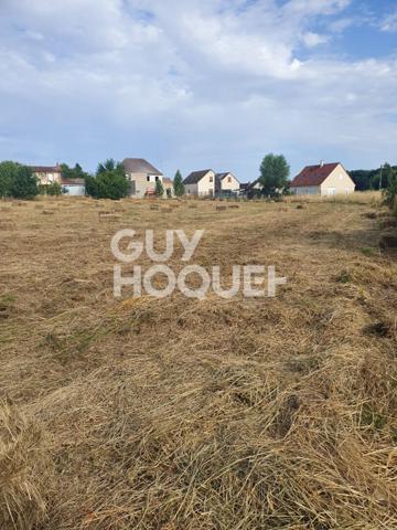 Terrain Charbuy environ 7 000 m²