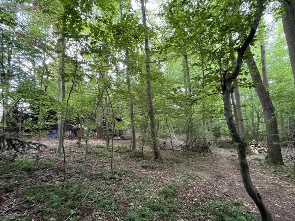 Achat - Maison Brionne 27800 5 pièces 72 m 2 4695 m 2