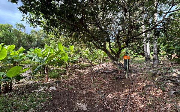 Terrain à vendre    Saint-Pierre
