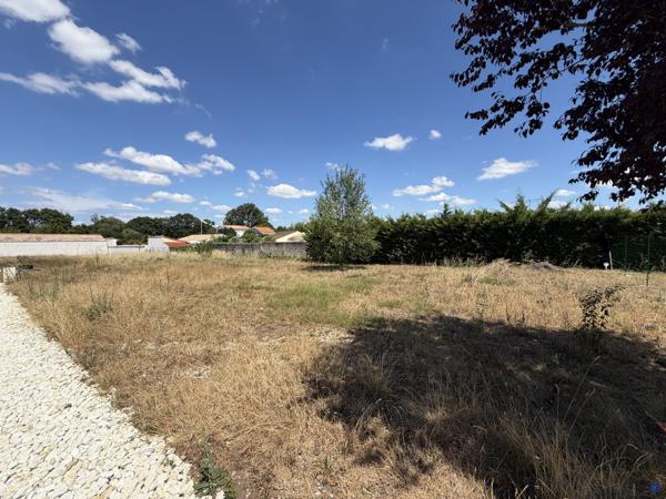 TERRAIN VIABILISÉ 445m2