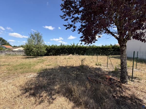 TERRAIN VIABILISÉ 445m2