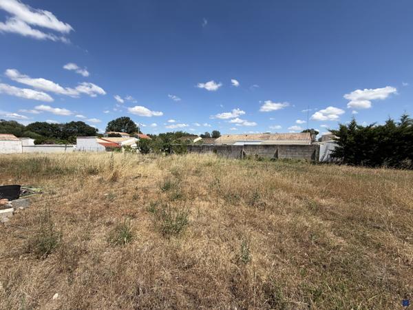TERRAIN VIABILISÉ 445m2