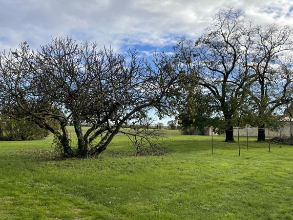 Maison  6 pièce(s)  3 chambre(s)  150 m²