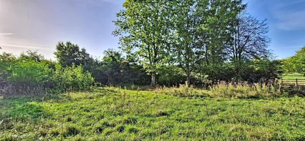 Terrain Nozay 534 m²