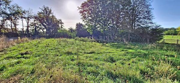 Terrain Nozay 534 m²