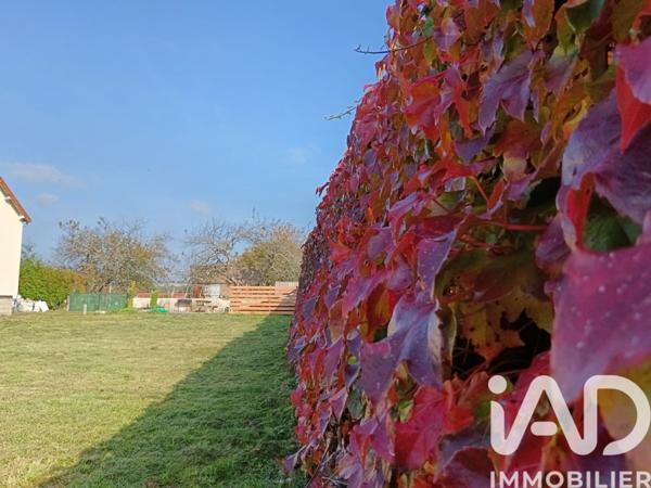 Maison à vendre 5 pièces 140 m² Diou