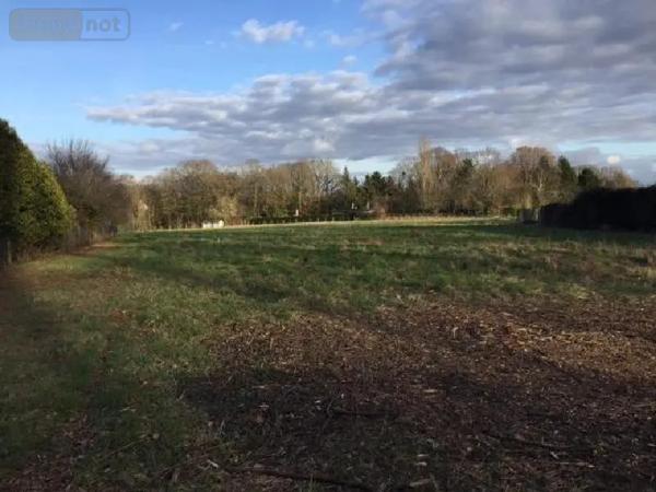 Achat - Terrain à bâtir Blois 41000 8098 m 2 8098 m 2