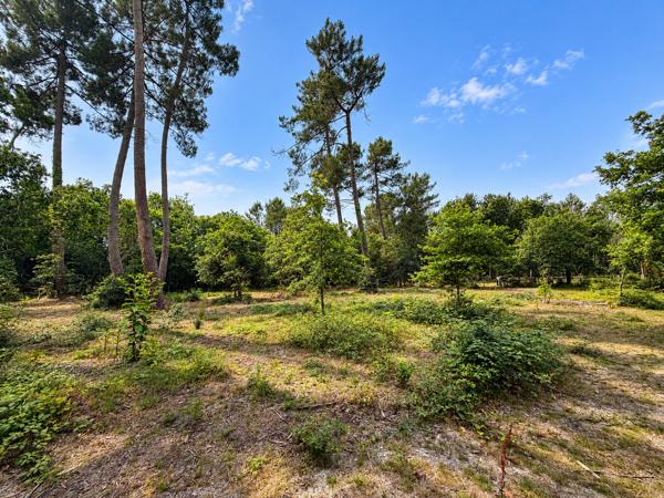 Terrain constructible de 1100m2