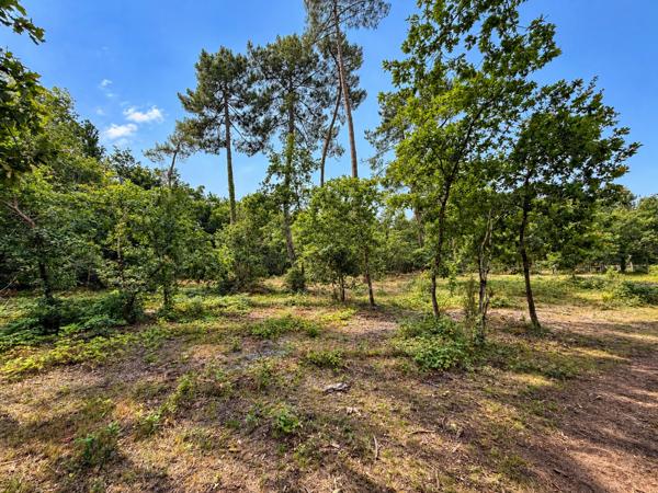 Terrain constructible de 1100m2