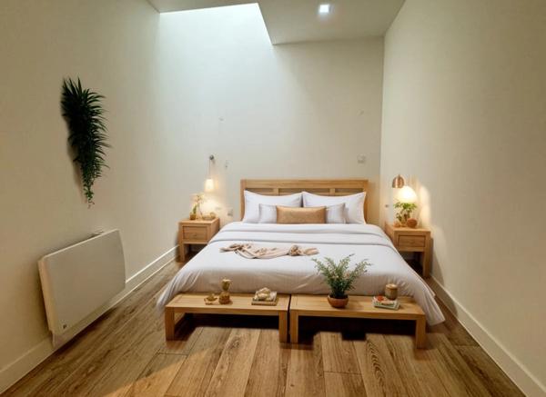 MAISON INDIVIDUELLE - 3 PIECES - CLAMART- LIMITE -ISSY-LES-MOULINEAUX - VUE TOUR EIFFEL - TERRASSE - JARDIN