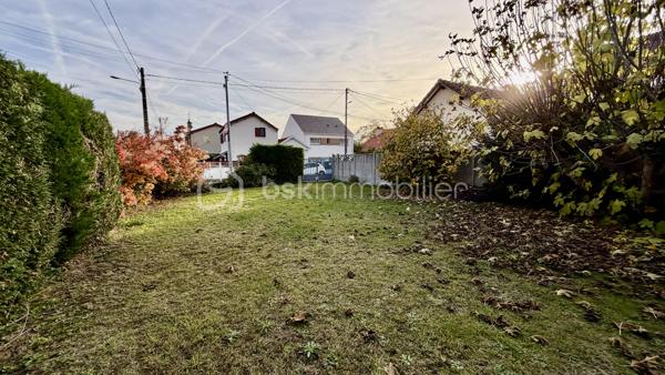 Terrain de 228,99 m²