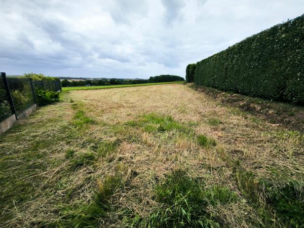 TERRAIN CONSTRUCTIBLE