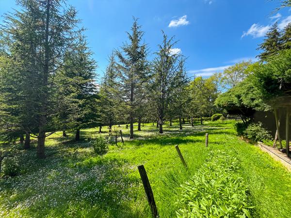 Maison Montayral 6 pièce(s) 125 m2