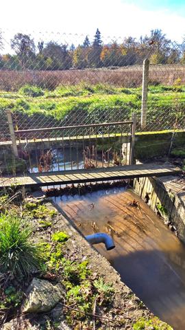 Pavillon 6p sur sous-sol complet + Garage + Dépendances - Proche Saint-Junien - Environnement campagne