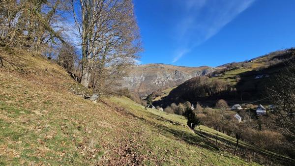 Vente / Maison en pierre