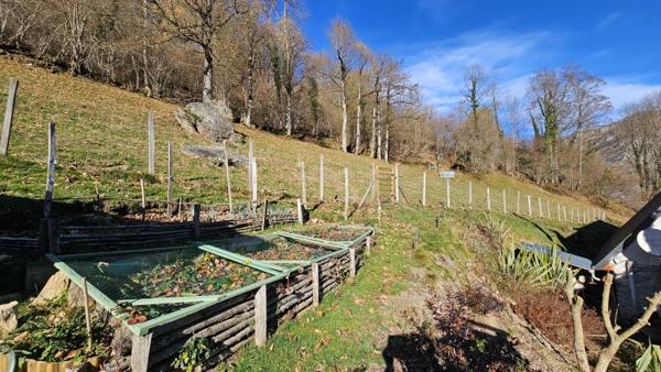 Vente / Maison en pierre