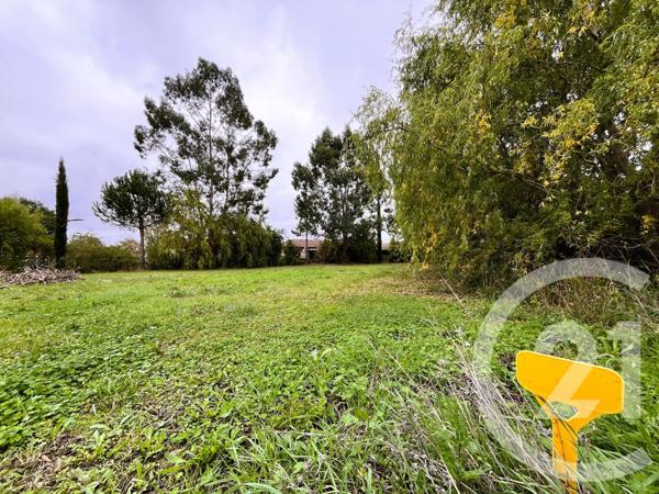 Terrain à vendre  1005 m2 ST SULPICE LA POINTE - 81