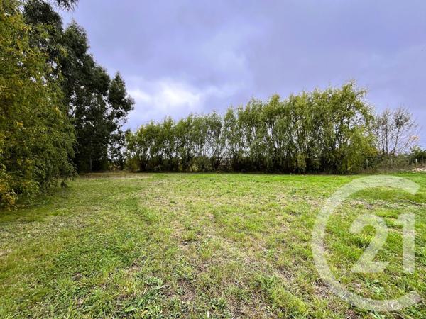Terrain à vendre  1005 m2 ST SULPICE LA POINTE - 81