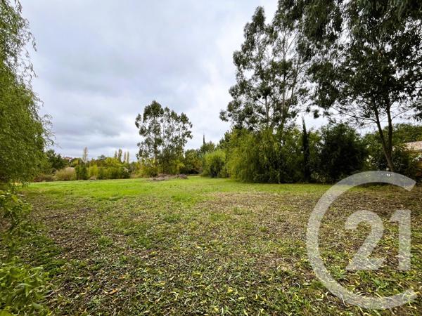 Terrain à vendre  1005 m2 ST SULPICE LA POINTE - 81