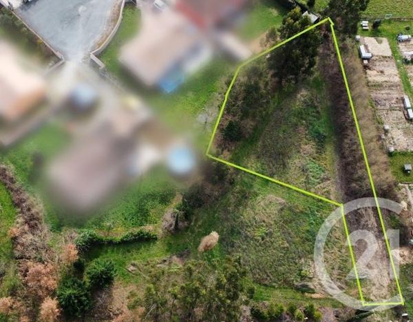 Terrain à vendre  1005 m2 ST SULPICE LA POINTE - 81