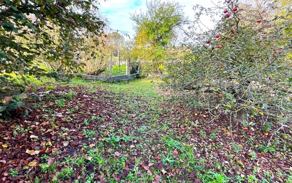 Maison à vendre    3 pièces • 81 m2 Argences