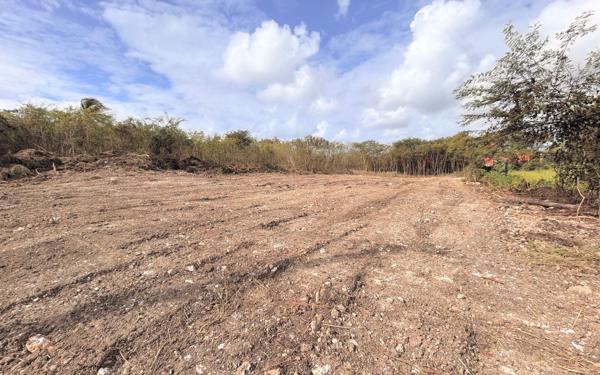 Terrain à vendre    Saint-François