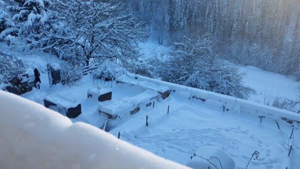 Propriété : Maison habitation et Gîtes à exploiter proche de Lamoura.