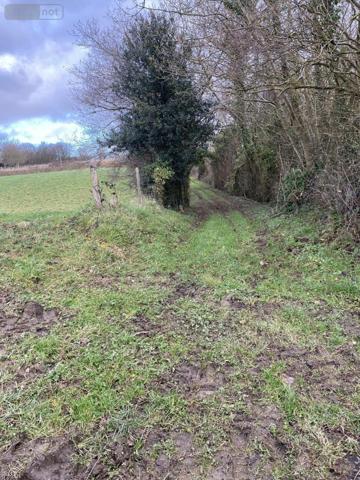 Terrain à Batir à vendre à La Ferrière-Harang dans le Calvados (14350), ref : 14076-5854