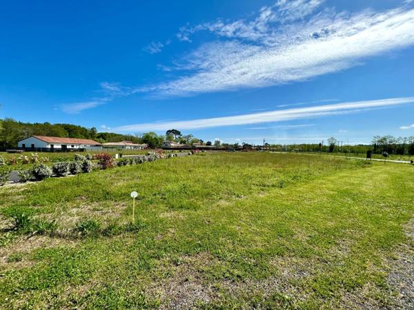 Terrain à vendre    Saubion