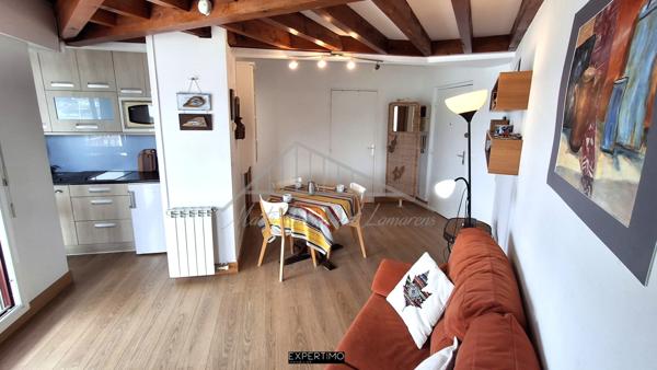 Hendaye (64700) Appartement T2bis sur baie de Txingudi et plage à 350 mètres