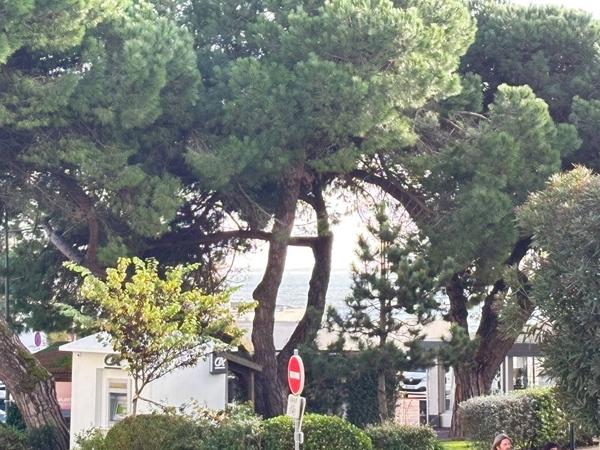 APPARTEMENT à VAUX SUR MER