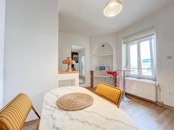 Appartement meublé 2 pièce(s) 48.14 m2 - PROCHE PARC DE LA PEPINIERE NANCY
