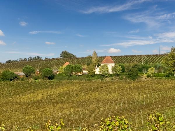 Dpt Gers (32), à vendre Proche de RISCLE château T6 de 327 m² habitables + 580 m² de dépendances attenantes sur 8157 m² de terrain