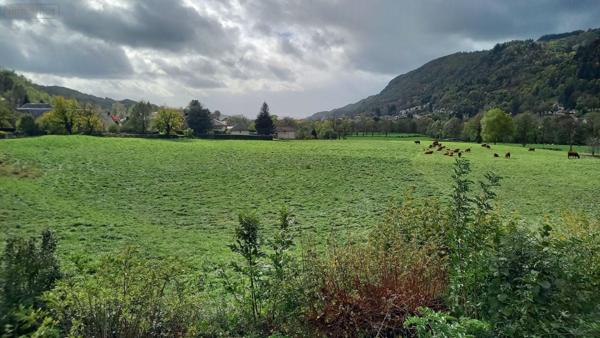 Maison à vendre à Vic-sur-Cère dans le Cantal (15800), ref : MG/2431