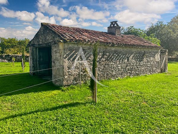 Superbe propriété avec gîte et 20 hectares