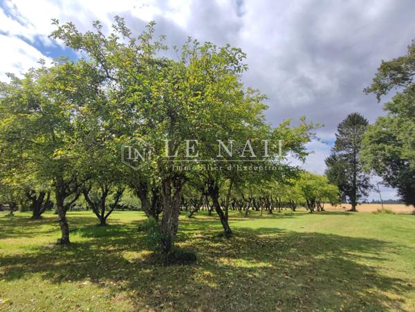 BEAU MANOIR DANS LE PERCHE, A VENDRE