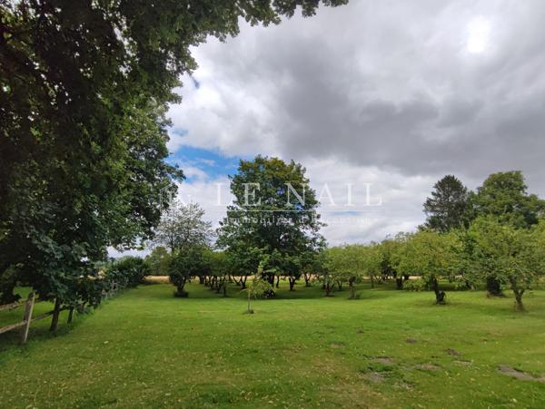 BEAU MANOIR DANS LE PERCHE, A VENDRE