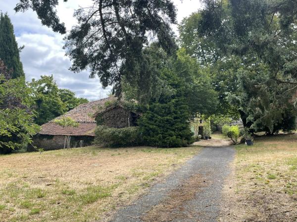 Puycelci (81140) Exclusivité : Charmante maison de 179m2, T3 - T4 avec plus de 4,5h prairie et bois