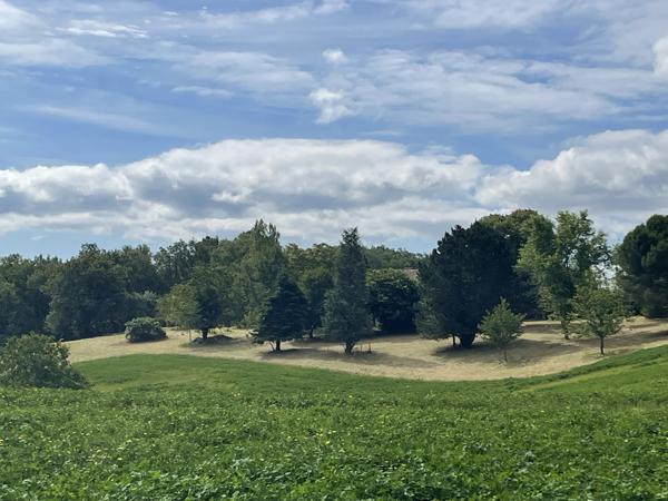 Puycelci (81140) Exclusivité : Charmante maison de 179m2, T3 - T4 avec plus de 4,5h prairie et bois