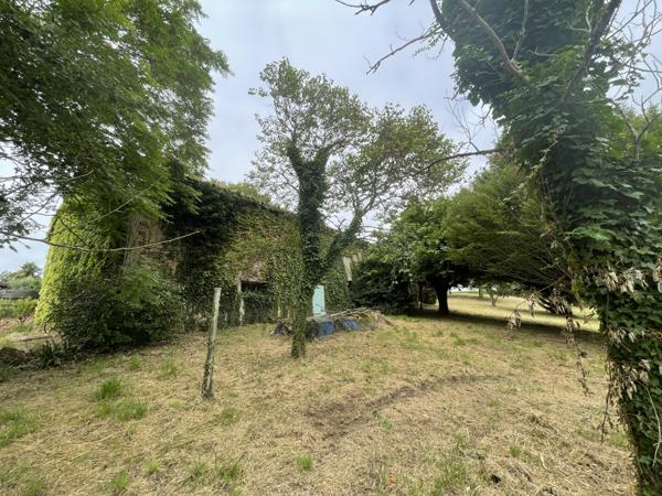 Puycelci (81140) Exclusivité : Charmante maison de 179m2, T3 - T4 avec plus de 4,5h prairie et bois