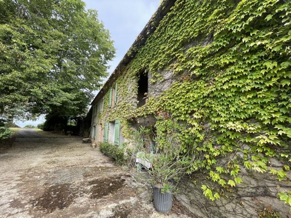 Puycelci (81140) Exclusivité : Charmante maison de 179m2, T3 - T4 avec plus de 4,5h prairie et bois