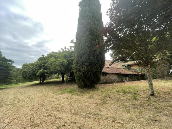 Puycelci (81140) Exclusivité : Charmante maison de 179m2, T3 - T4 avec plus de 4,5h prairie et bois