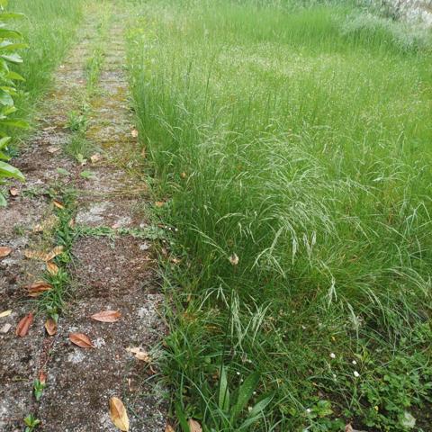 Terrain à HOERDT, 67720 - 327m²