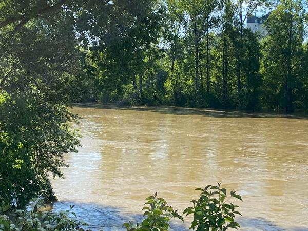 Appartement 1 pièce