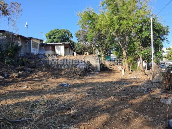 3 TERRAINS sur Basse Terre ST PIERRE, tout à l égout zone U3